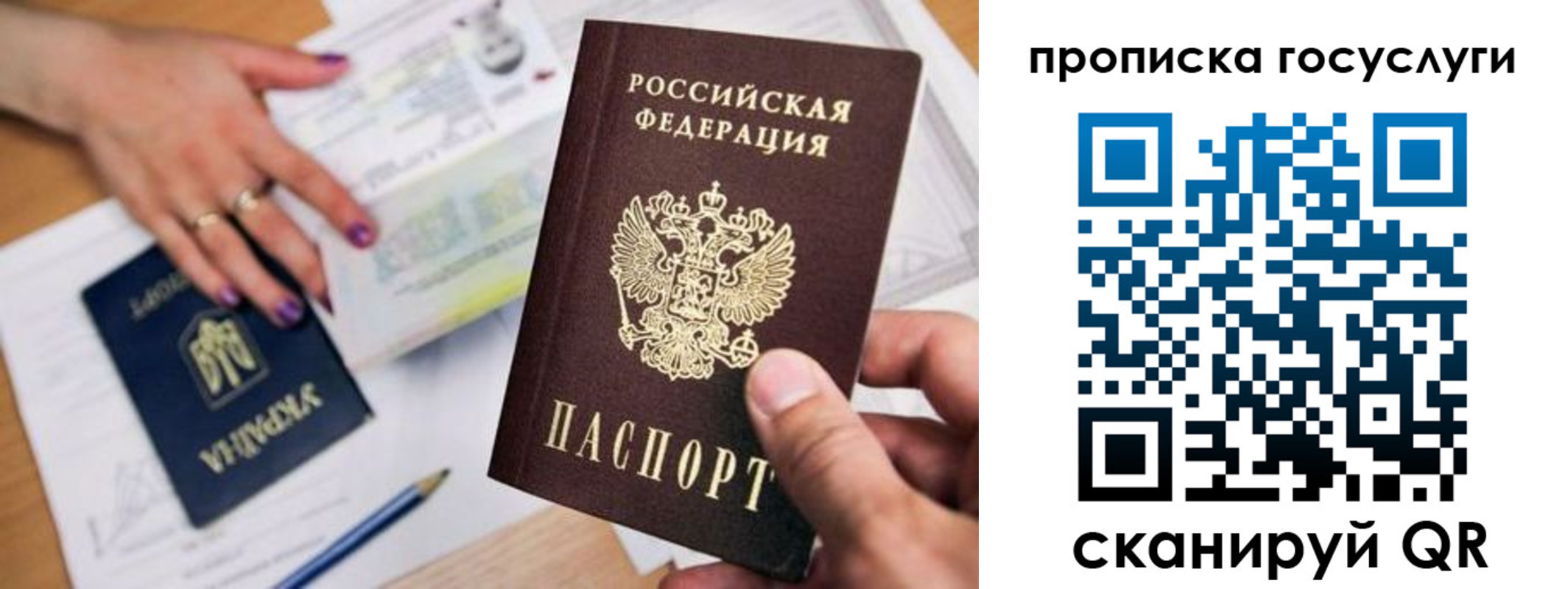 временная прописка в Сафоново